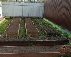 ������ ������� ������, ����� ������, ������