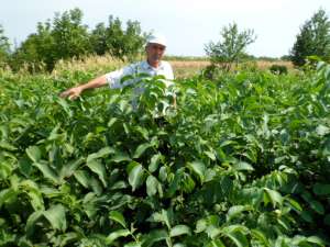 ������ ������� �������� �����