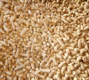 ������ ������� ���������