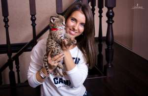 ������ ������� ��������� L'unicorne - ����������