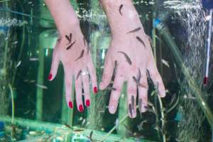 ������ ������� �����-���� � �� �������, ���������� ����������� - ����������