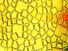 ������ ������� �����������