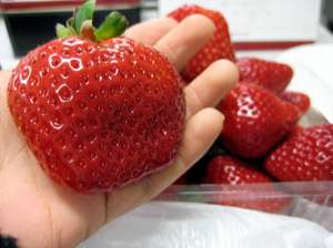 ������ ������� ������������� �������� - ����������