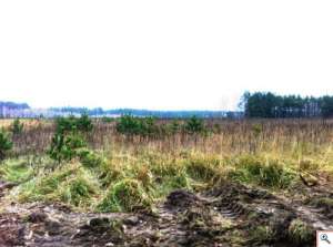 ������ �������� - 12 ����� - 14000$