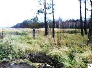 ������ �������� - 12 ����� - 14000$