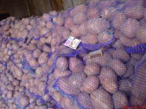 ������ ��������