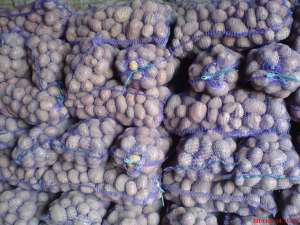 ������ ��������