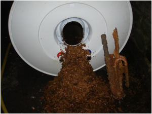 ������ ��������