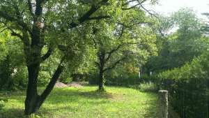 ������ �������� � ����