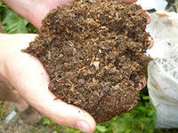 ������ �������� � ������ � ����� -57���/�����