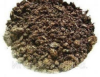 ������ �������� � ������ +�������� - 57 ���/�����