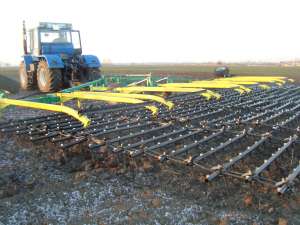 ������ �������� ���