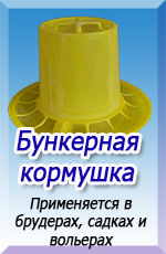 ������, �������� ��� ����