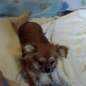 ������ �������� ��� �����.