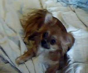 ������ �������� ��� �����.