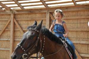 ������, �������� ����