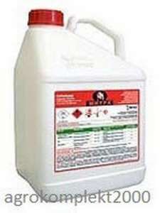 ������ �������� �����