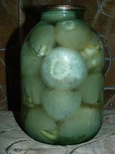 ������ �������� ����� ������� - ����������