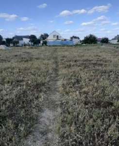 ������ �������� ������ - ����������