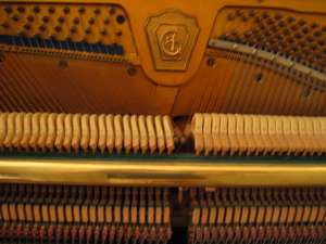 ������ �������� ������� 1925 �. �������