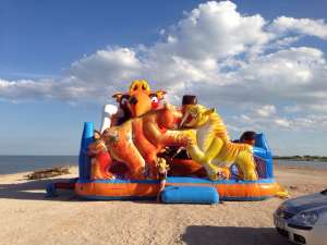 ������ �������� ��������