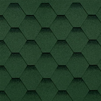 ������ �������� �������� SHINGLASS �� 55���