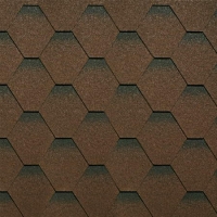 ������ �������� �������� SHINGLASS �� 55���