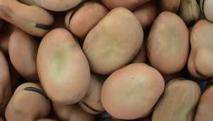 ������ �������� �����������