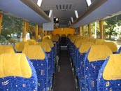 ������ ���������