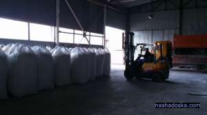 ������ ���������