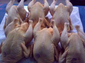 ������ ���������