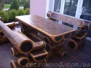 ������ ���������