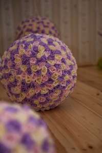 ������ ��������� ��� ���� - ����������