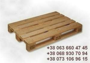 ������ �����'���� ����� � �����. - ����������