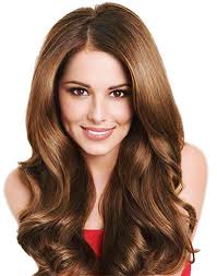 ������ ���������. ����� ������ � ����������.