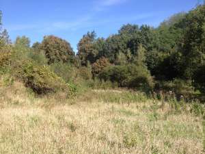 ������ ��������� ������� 15 + 25 ����� �. ��������� - ����������