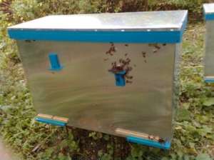 ������, ���������, ������� �� ��� ���� - ����������