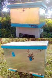 ������, ���������, ������� �� ��� ����