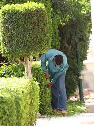 ������ ��������� �������� - ����������