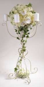 ������ ��������� ��������� - ����������