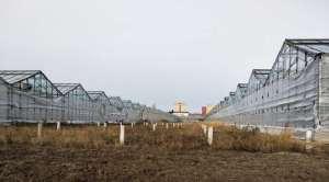 ������ ��������� ��������� ͳ�����������, ͳ������, 13631538 ���.