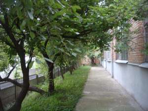 ������ ��������� ��������� ���, ����������, 488888 $