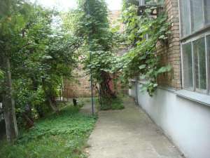 ������ ��������� ��������� ���, ����������, 488888 $