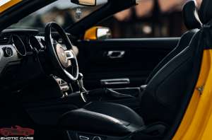 ������ ���������� Ford Mustang