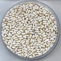 ������ ���������� ������ - ����������