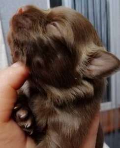 ������ ���������� ������ �������� - ����������