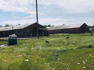 ������ ����������, ����������� 2 ���� - ����������