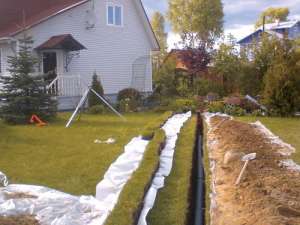 ������ �����������