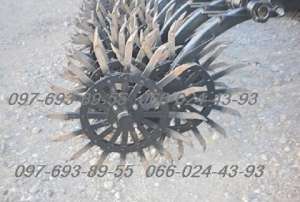 ������ �����������