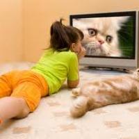 ������ ����������� � ����� �.5926521 - ����������